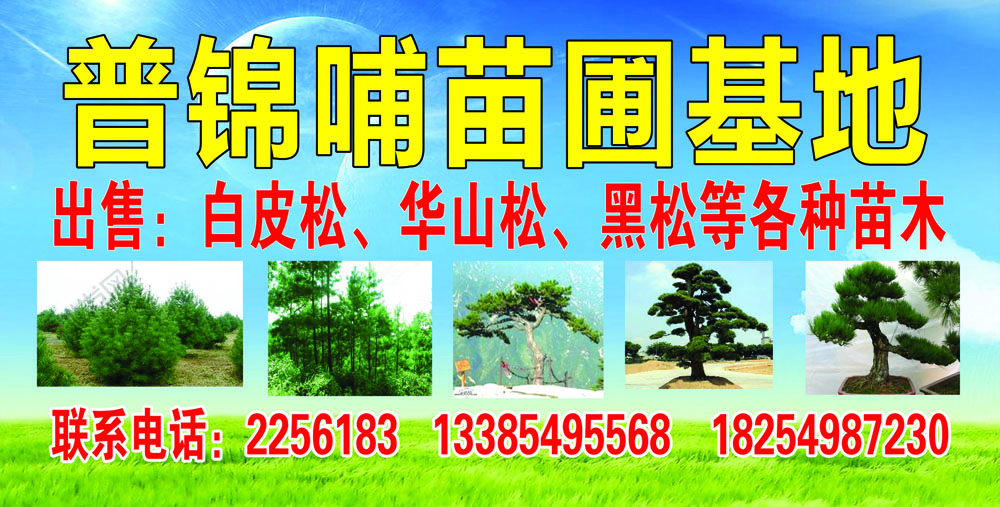 普錦哺苗圃基地